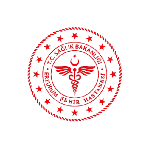 erzşehirhast